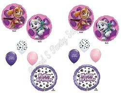 Anagram Paw Patrol Skye & Everest 10 Pc. Birthday Balloons Decoration Supplies Party Chase Ryder
