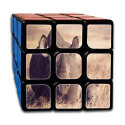 Cyclone Boys 3X3 Inspiring Speed Cube Sticker Gallery And Small Rhino Magic Cube 3X3X3 Puzzles Toys 56MM