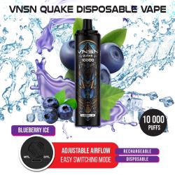 VNSN Quake 10000 Blueberry Ice Vape