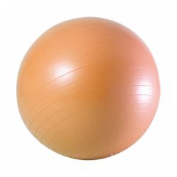 Gym Ball 55CM