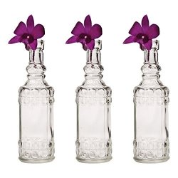 Luna Bazaar Small Vintage Glass Bottle Set 6.5-INCH Calista Cylinder Design Clear Set Of 3 - Flower Bud Vase Set - For Home Decor