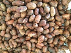 African Bitter Kola Nuts 0.5LBS