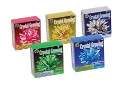 Toysmith Crystal Growing Kit Colors May Vary