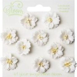 Bloom Apple Blossoms - White 10 Pieces