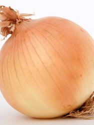 Onion Hojem Seed - 1 Kg Raw Seed