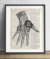 Human Hand Dissection Vintage Dictionary Art Print 8X10