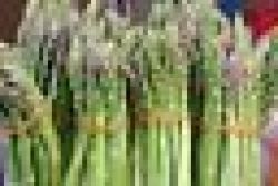 Vegetables - Asparagus Seeds 10 Seeds