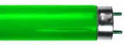 24VDC| 18W| Green| Frosted| 1200MM 4FT | LED T8 Tube