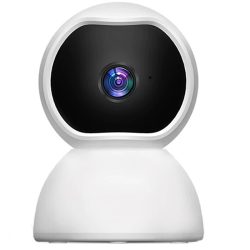 Wireless Security Camera Surveillance WLW-12-41