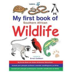 No Brand My First Book Of Southern African Wildli