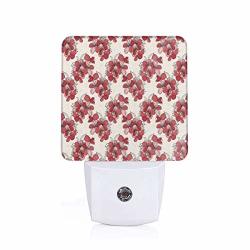 Xuforget Floral Japanese Culture Cherry Blossom Coming Ultra Bright LED Night Light With Auto Dusk To Dawn Sensor For Stairways