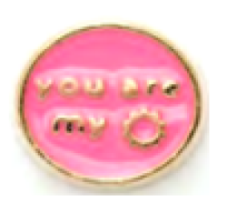 LL-10 - You Are My Sunshine Floating Charm For Locket