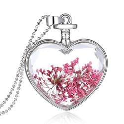 TOPUNDER Women Dry Flower Heart Glass Wishing Bottle Pendant Necklace By