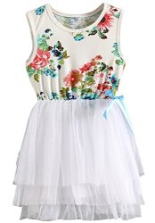 Little Niyage Girls Sleeveless Floral Princess Dress Tulle Tutu Sundress 2T White