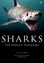 Sharks: The Perfect Predators