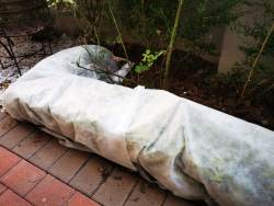 Frost Cover 5 M X 3 M