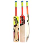 puma evospeed 4 cricket bat