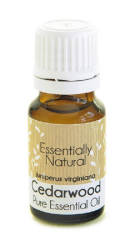 Cedarwood Essential Oil - 50ML