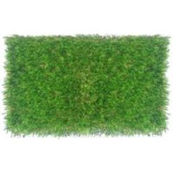 Evergreen Press Evergreen Artificial Grass 1 Tone 25MM2.00 X 5.00