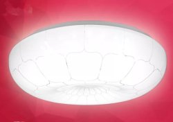 LED Acrylic Ceiling Light Round Ceiling Application Lamp 24W