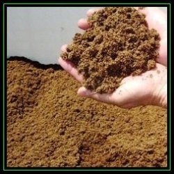 10 Litre Canadian Sphagnum Peat Moss - Seed Germination Grow Medium - Growing Aids