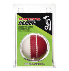 Senior Swing Demon Cricket Ball