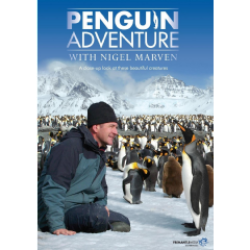 Penguin Adventures With Nigel Marvin Dvd
