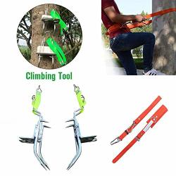 Tree Climbing Spikes With Climbing Harness Climbing Strap Climbing Tool Shoes Sturdy Pole Stainless Steel With Sharp Claws Climbing Shoes Spikes For