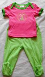 Matching Set Baby Girl - Pink My Pretty Garden Top And Green Pants Set - 6- 12 Months - Baby Clothes