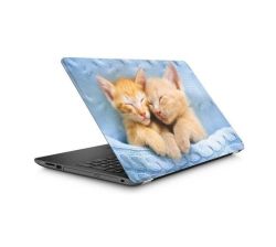 Laptop Skin Baby Kittens