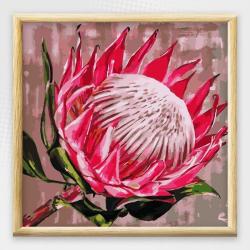 Adult Paint By Numbers With Frame - King Protea