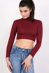 Pilot Turtle Neck Long Sleeve Plain Knitted Crop Top In Wine Red