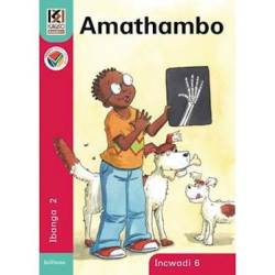 Kagiso Reader: Amathambo Ncs : Grade 2: Book 6