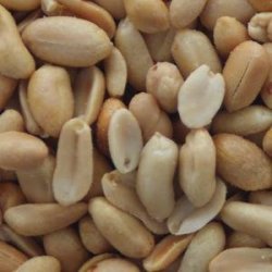 Giant Peanuts - 1KG Roasted & Salted No Skins