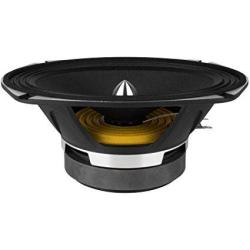 prv 10 inch midrange