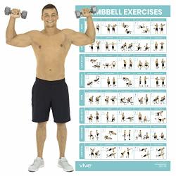 VIVE Dumbbell Exercise Poster - Home Gym Workout For Upper Lower Full Body - Laminated Bodyweight Chart For Back Arm Core And Legs