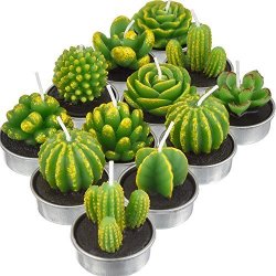 12 Pieces Cactus Tealight Candles Handmade Delicate Succulent Cactus Candles For Party Wedding Spa Home Decoration Gifts Simple Style