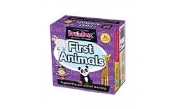 Holland Plastics Original Brand Brainbox First. Animal Homes. Perfect For Preschool Learning Contains 24 Cards. Both Fun And Educational