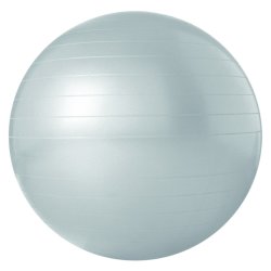 Trojan Antiburst Body Ball 75CM Grey
