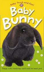 Baby Bunny board Book