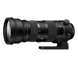 Sigma 150-600mm f 5-6.3 DG OS HSM Lens for Nikon