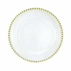 Set of 6 13 inch USA Party Flower Elegant Plastic Reef Charger Plate
