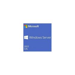 Dell Microsoft Windows Server 2022 5 Cals User