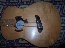 Rainbird Multiscale Acoustic Guitar