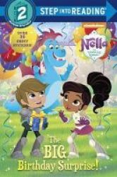 The Big Birthday Surprise Nella The Princess Knight Paperback