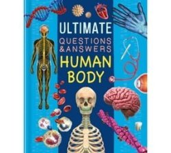 Ultimate Questions & Answers: Human Body