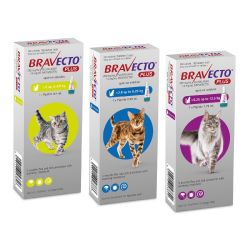 Bravecto Plus Spot-on For Cats - Small 1.2 - 2.8KG
