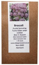 Heirloom Veg Seeds - Broccoli - Purple Sprouting