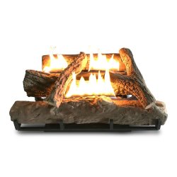 Alva Fireplace Heater Gas 67CM