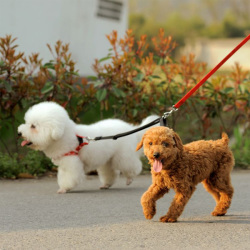 Nylon Two Ways Double Dogs Couple Walking Pet Cat Dog Leash